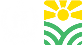 IFRAP Logo